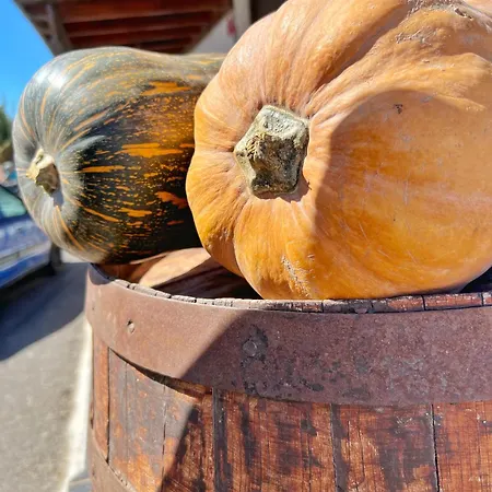 Casa Cabrera - 2 Con Vistas Al Mar Apartman Caleta de Caballo