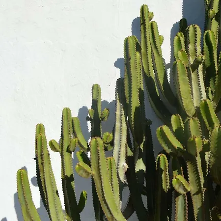 Casa Cabrera - 2 Con Vistas Al Mar Apartman Caleta de Caballo