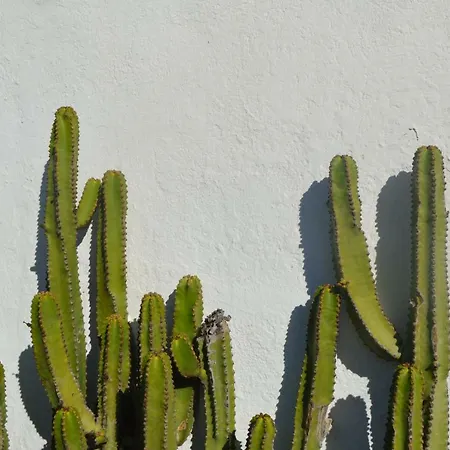 Casa Cabrera - 2 Con Vistas Al Mar * Caleta de Caballo